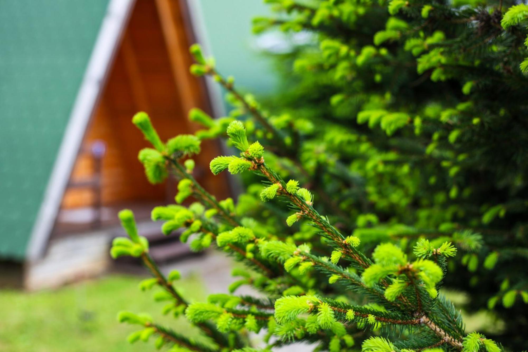Rooms & Glamping Lana Haus Licko Petrovo Selo Экстерьер фото