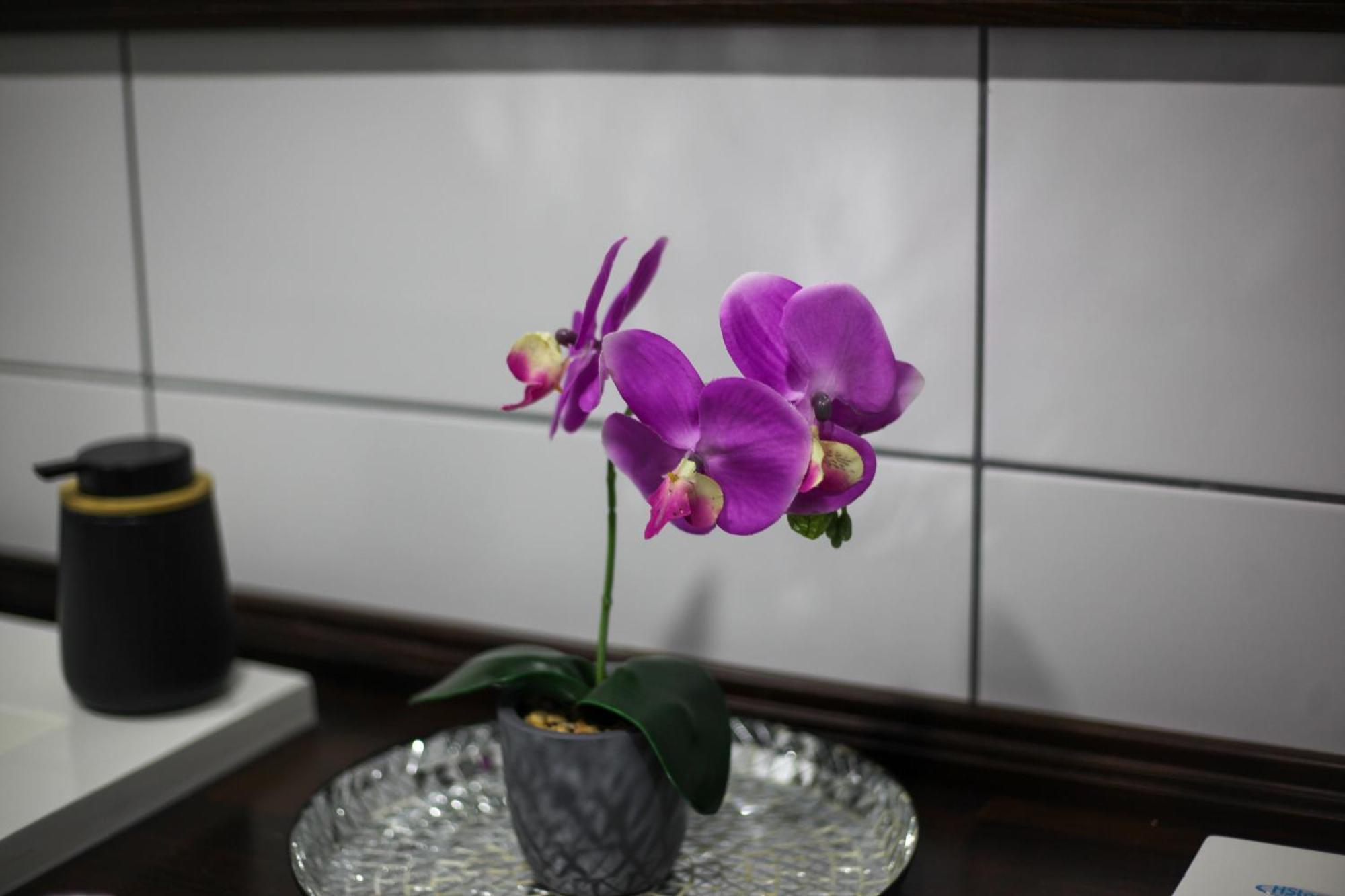 Rooms & Glamping Lana Haus Licko Petrovo Selo Экстерьер фото